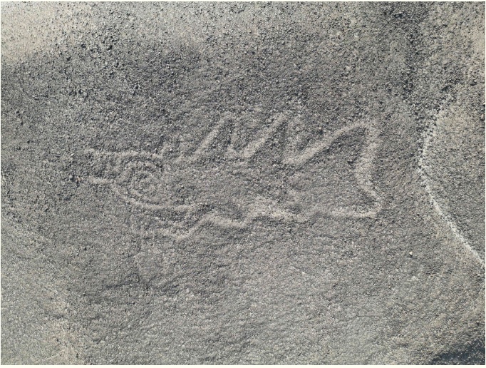 More Than 300 Geoglyphs Discovered in Peru